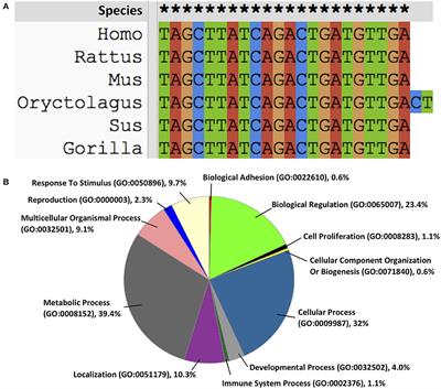 Critical Role of microRNA-21 in the Pathogenesis of Liver Diseases